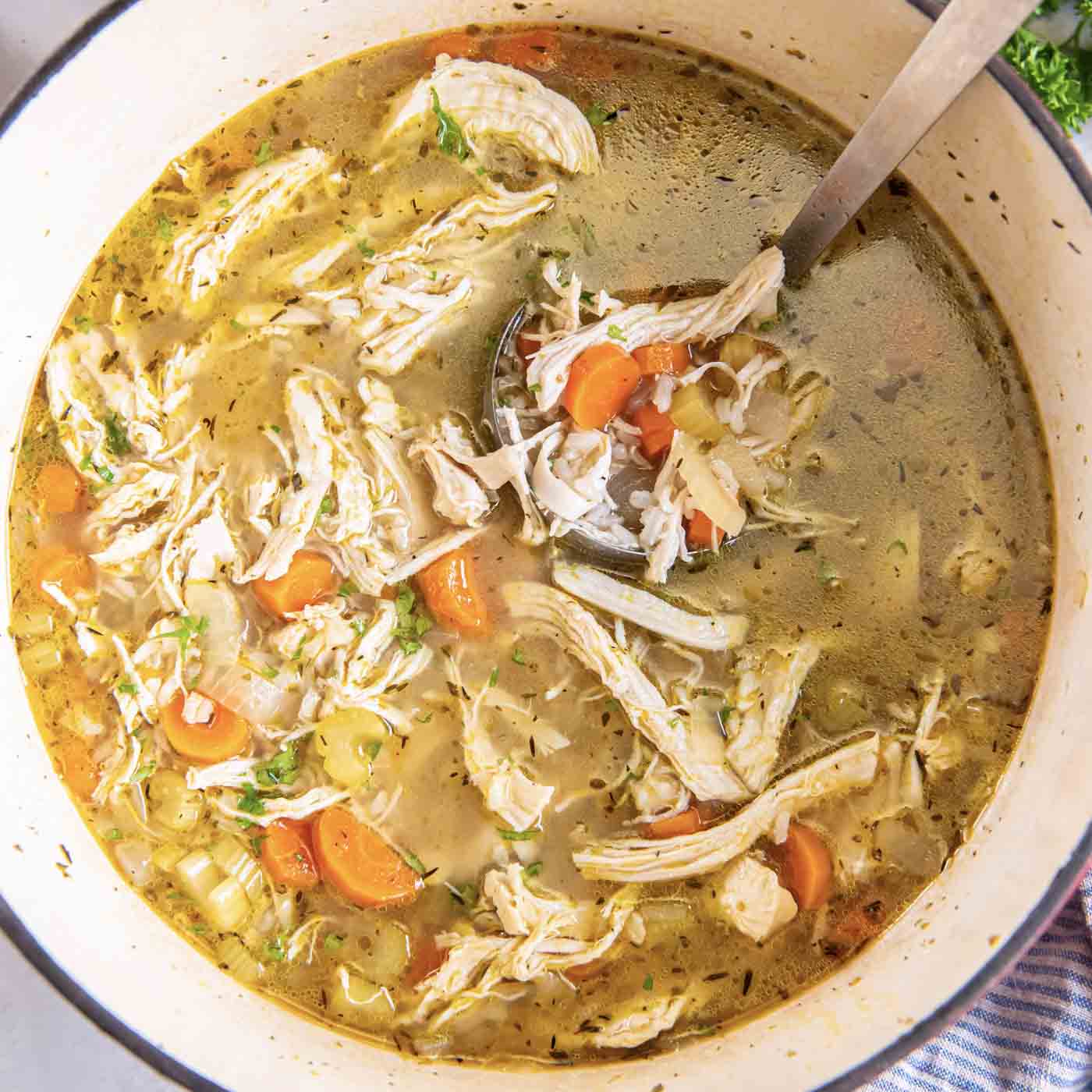 Chicken Soup